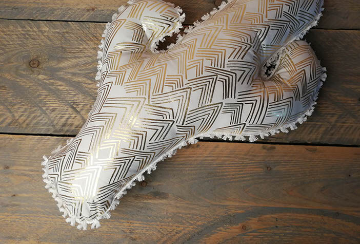 Sy kaktuskudde variant